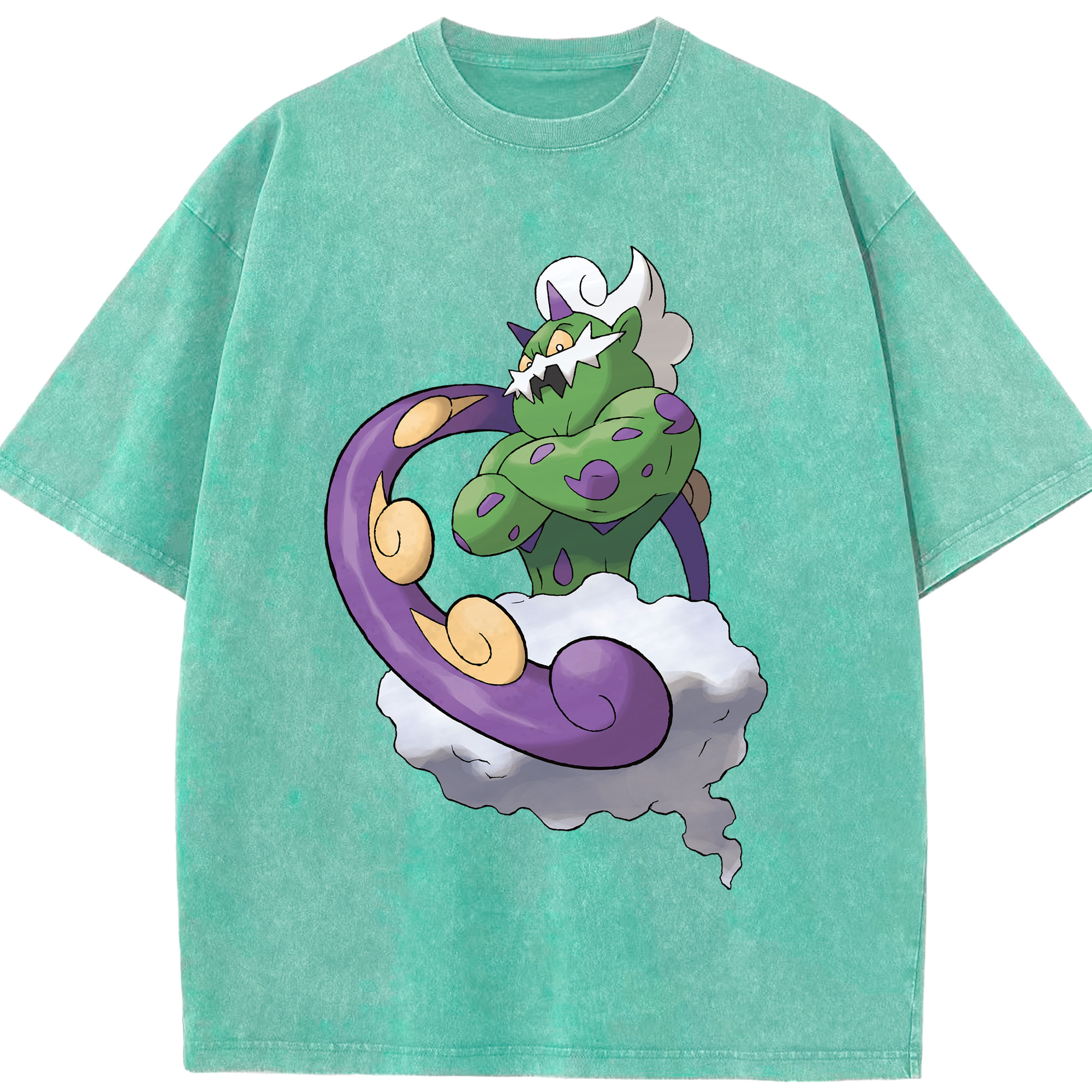 （画像用） ポケットモンスター Pokémon 綿100% ヴィンテージ風 半袖Tシャツ（フロントプリント）
